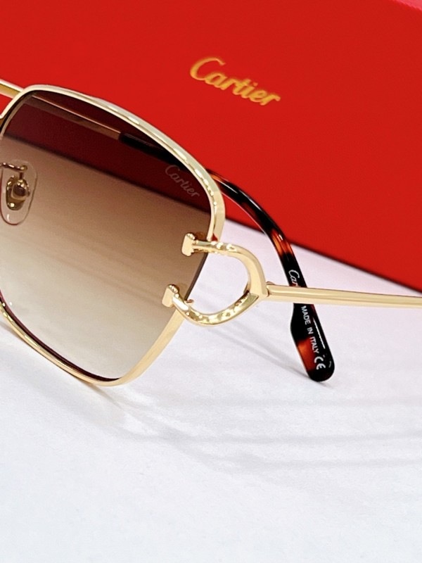 Cartier Glasses 08smh124 (6)