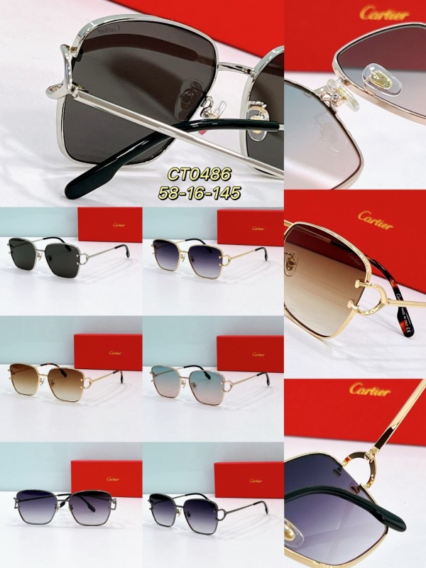 Cartier Glasses 08smh124 (9)