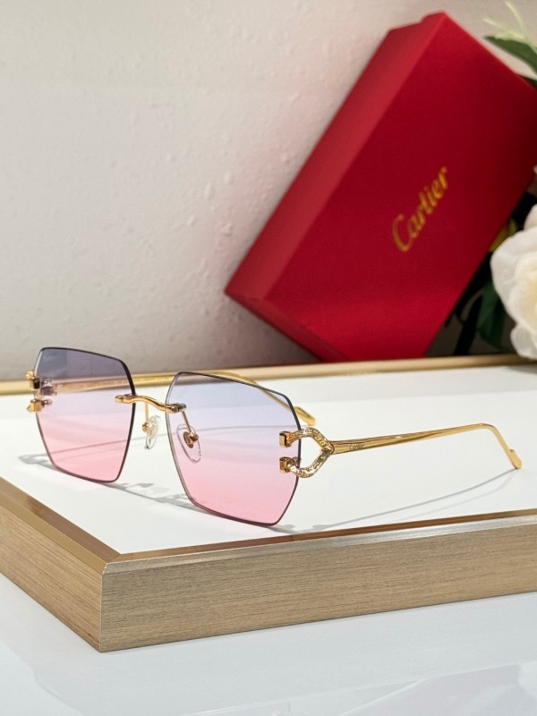 Cartier Glasses 08smh125 (1)