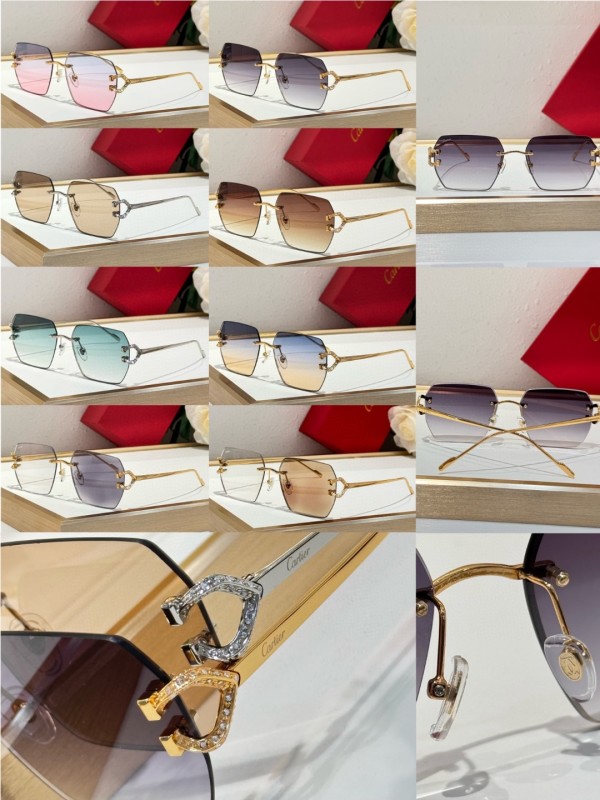 Cartier Glasses 08smh125 (10)