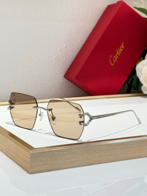 Cartier Glasses 08smh125 (2)