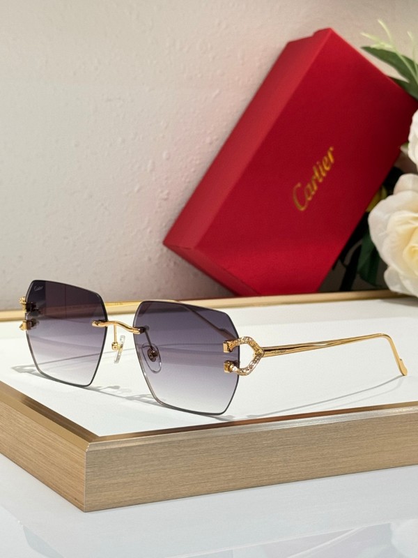 Cartier Glasses 08smh125 (5)