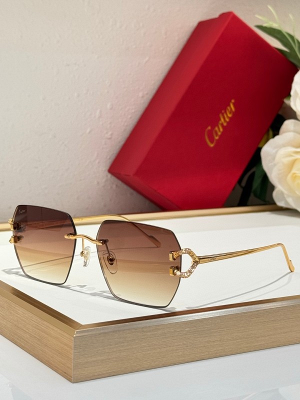 Cartier Glasses 08smh125 (6)