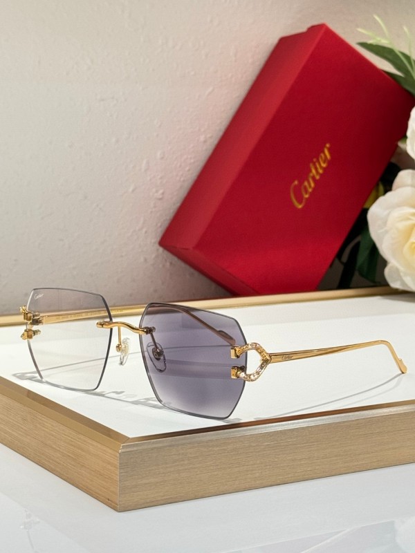 Cartier Glasses 08smh125 (7)