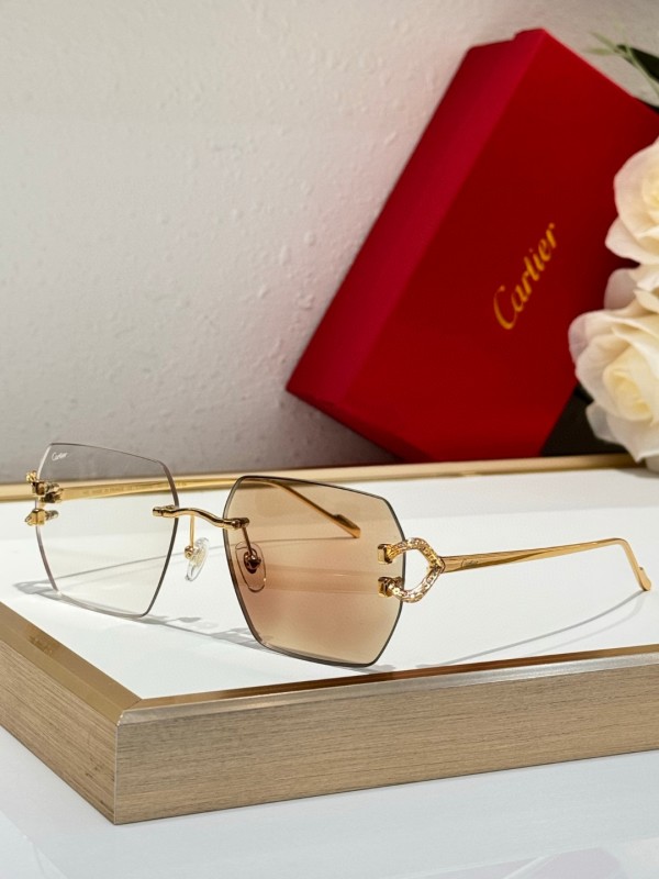 Cartier Glasses 08smh125 (8)