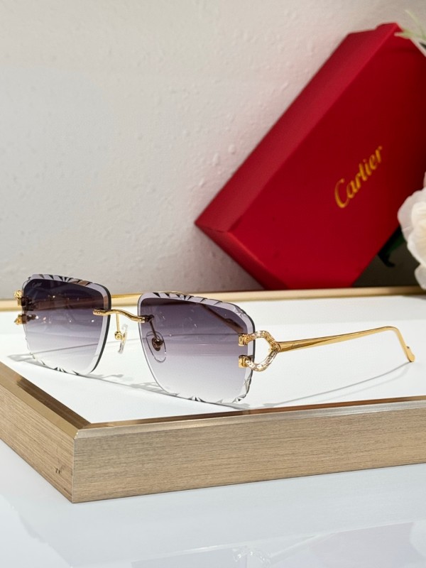 Cartier Glasses 08smh126 (3)