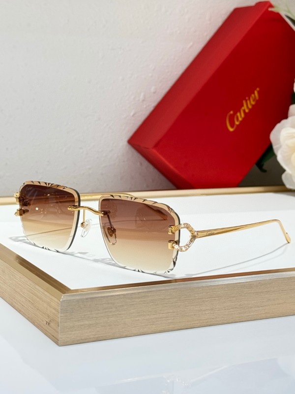 Cartier Glasses 08smh126 (4)