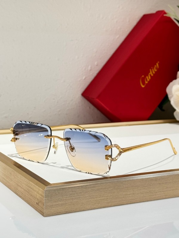 Cartier Glasses 08smh126 (6)