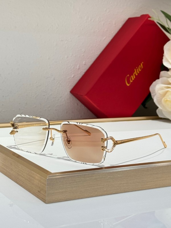 Cartier Glasses 08smh126 (7)