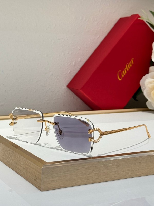 Cartier Glasses 08smh126 (8)
