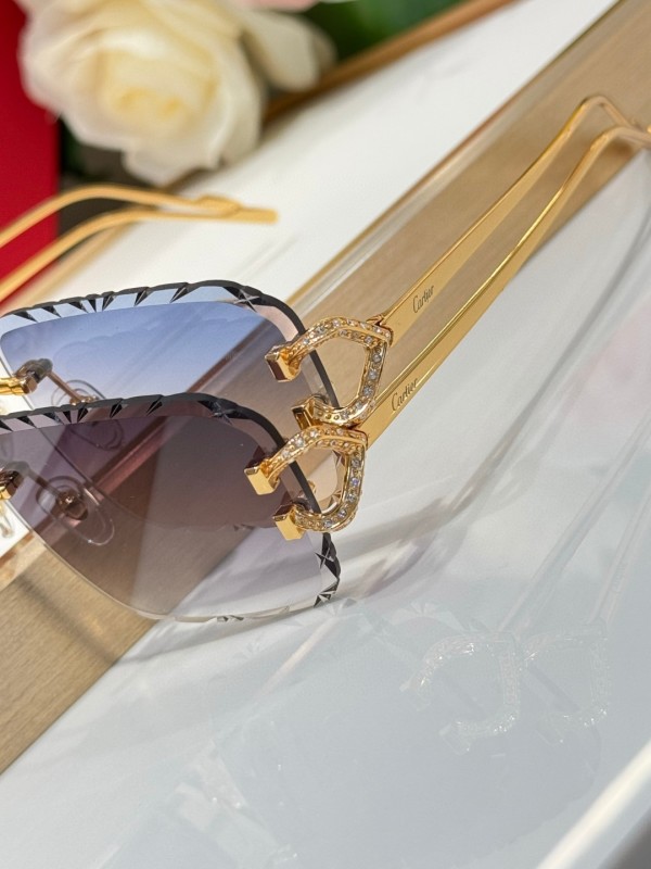 Cartier Glasses 08smh126 (9)