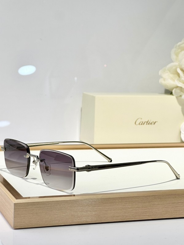 Cartier Glasses 08smh127 (3)