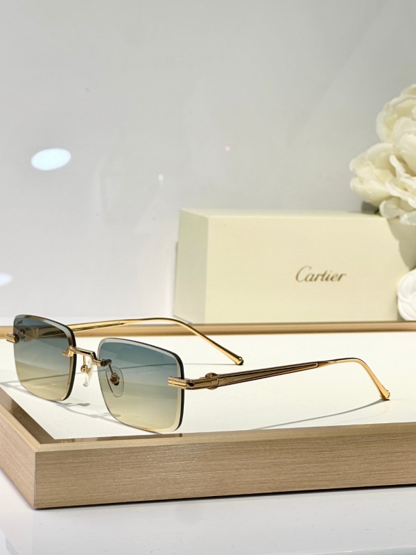 Cartier Glasses 08smh127 (4)