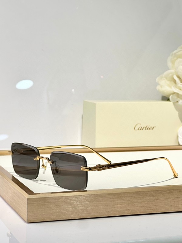 Cartier Glasses 08smh127 (5)