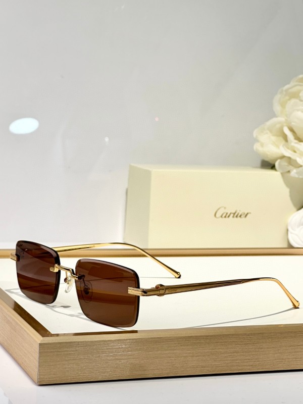 Cartier Glasses 08smh127 (7)
