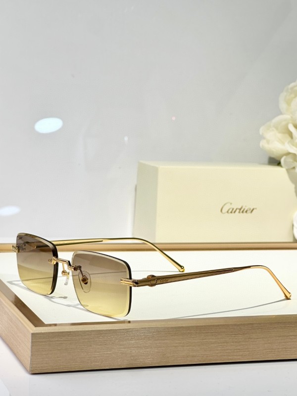 Cartier Glasses 08smh127 (8)