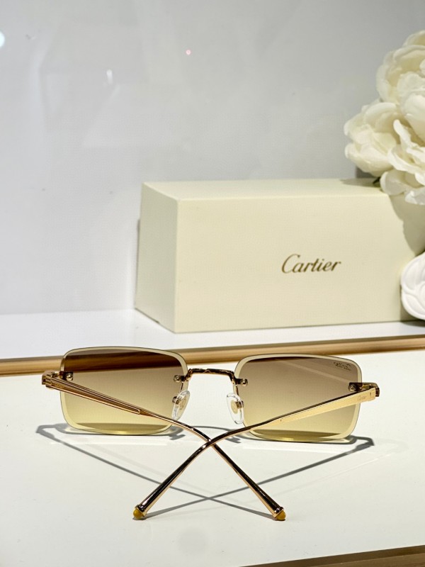 Cartier Glasses 08smh127 (9)