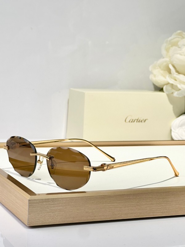 Cartier Glasses 08smh128 (3)