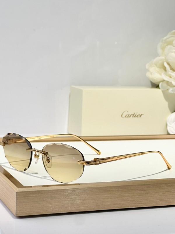 Cartier Glasses 08smh128 (7)
