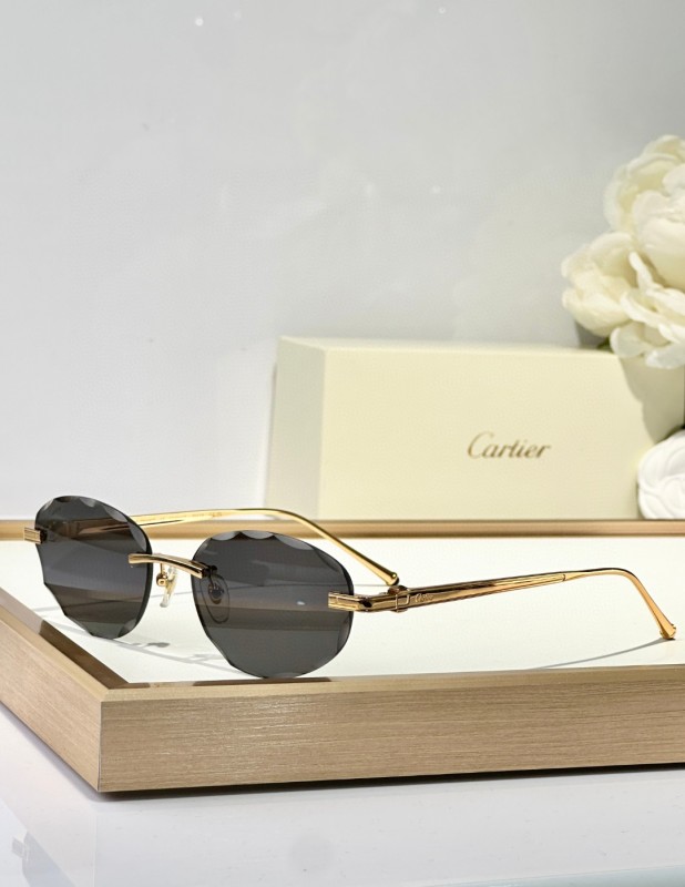 Cartier Glasses 08smh128 (8)