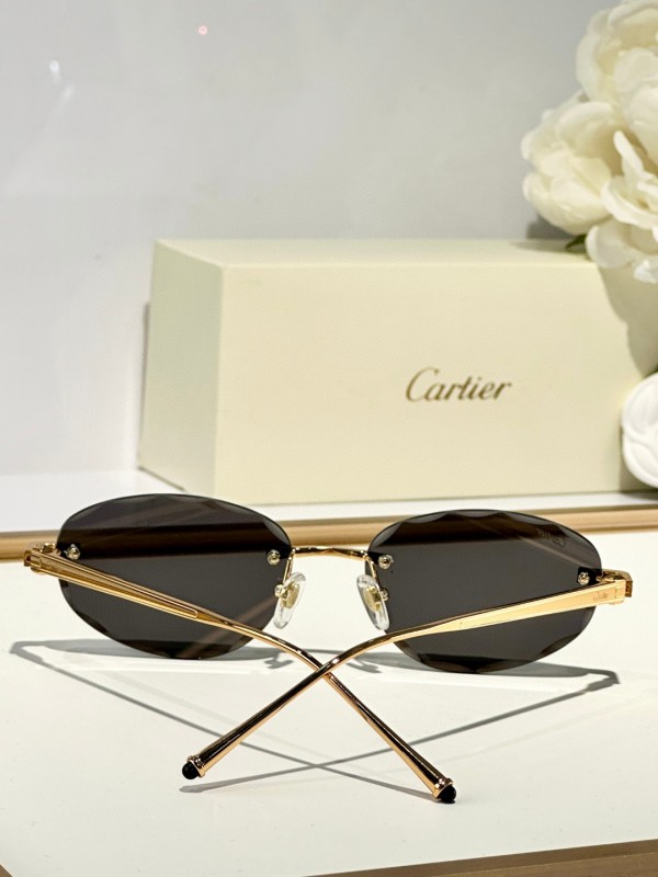 Cartier Glasses 08smh128 (9)