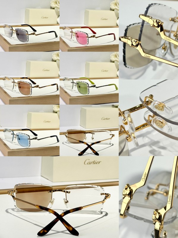 Cartier Glasses 08smh129 (10)