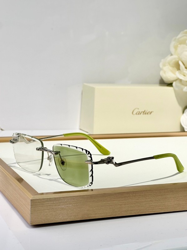 Cartier Glasses 08smh129 (4)
