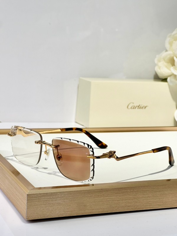 Cartier Glasses 08smh129 (5)