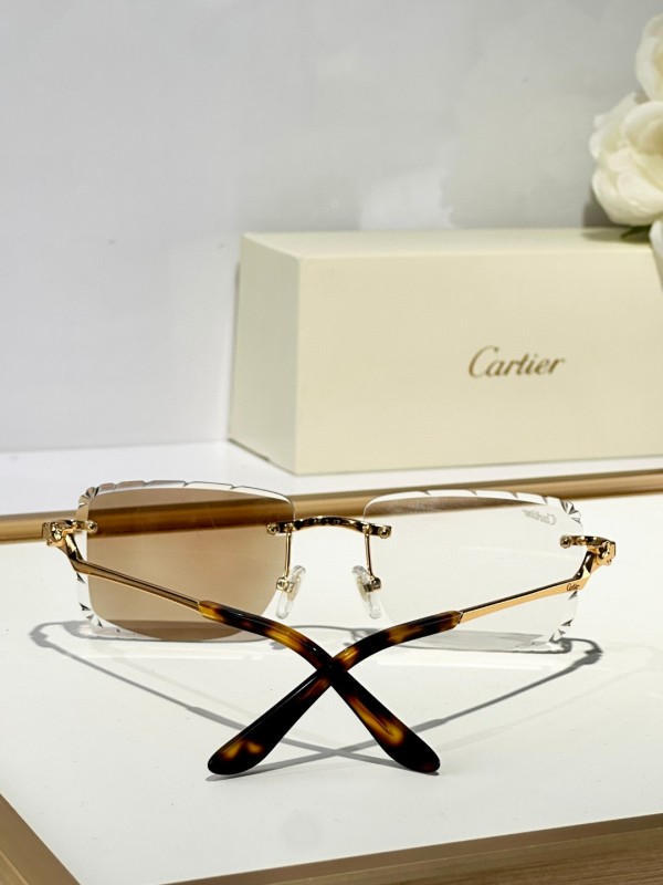 Cartier Glasses 08smh129 (6)