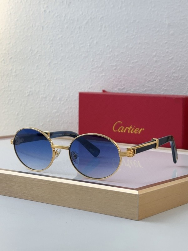 Cartier Glasses 08smh13 (6)