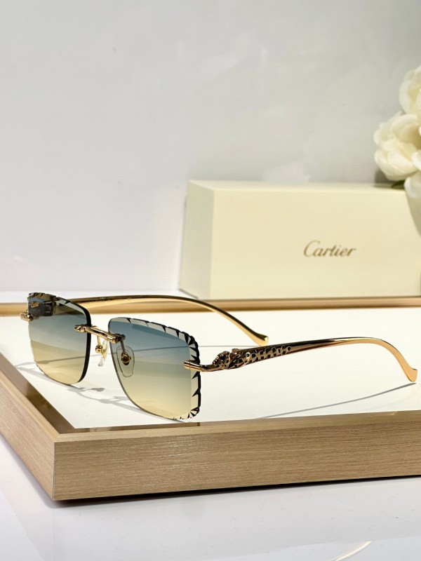 Cartier Glasses 08smh130 (4)