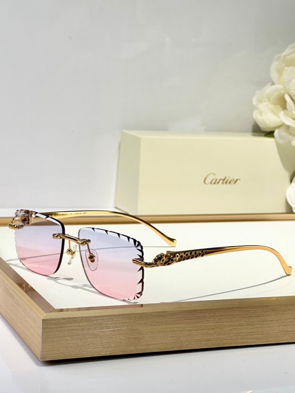 Cartier Glasses 08smh130 (5)