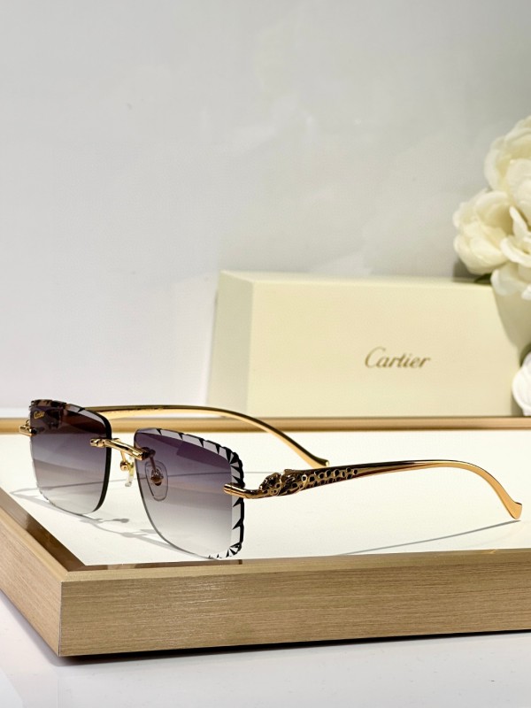 Cartier Glasses 08smh130 (6)