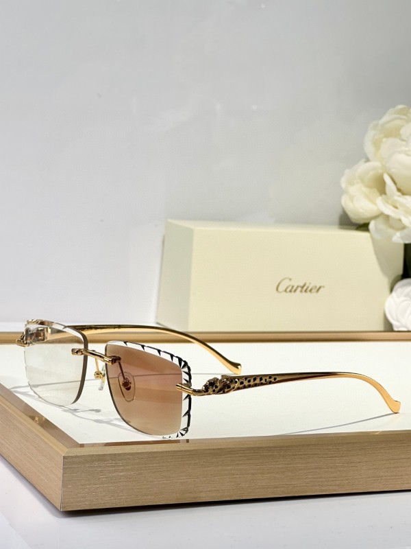 Cartier Glasses 08smh131 (3)