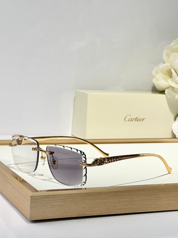 Cartier Glasses 08smh131 (4)