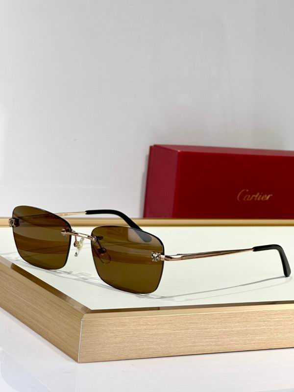 Cartier Glasses 08smh132 (1)
