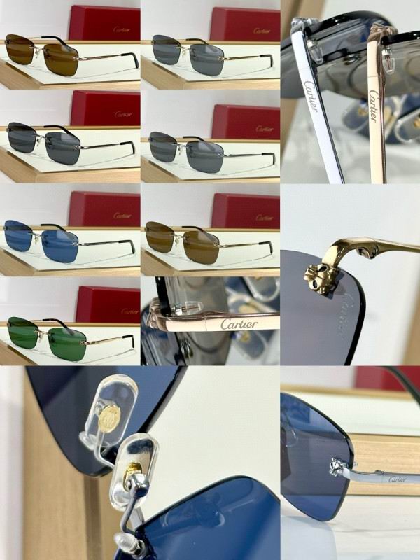 Cartier Glasses 08smh132 (10)