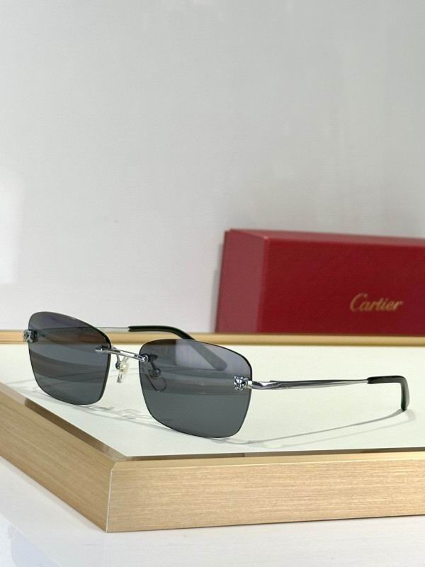 Cartier Glasses 08smh132 (2)
