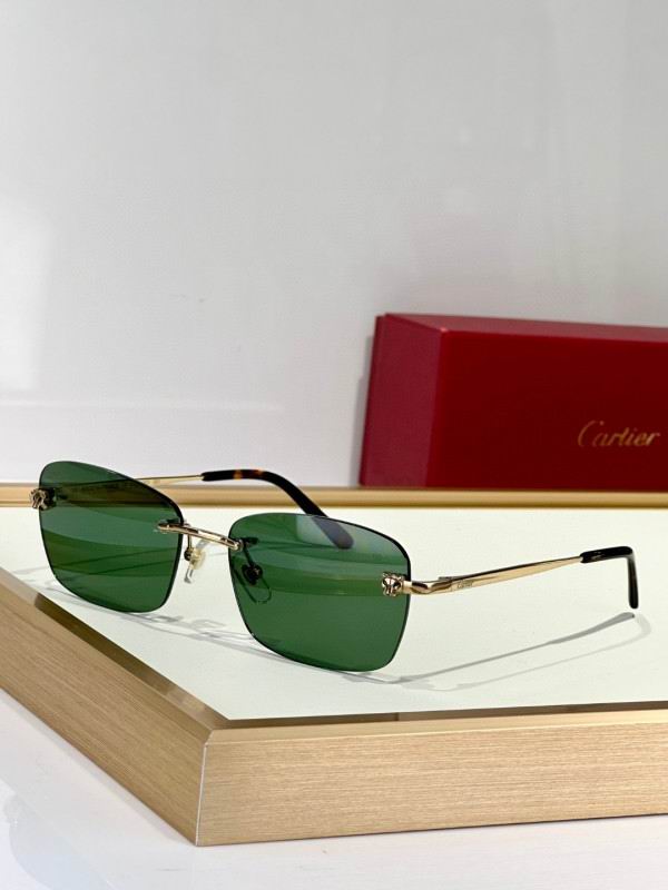 Cartier Glasses 08smh132 (3)