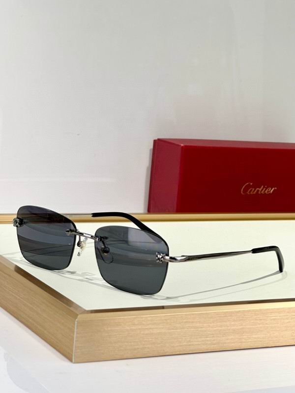 Cartier Glasses 08smh132 (4)
