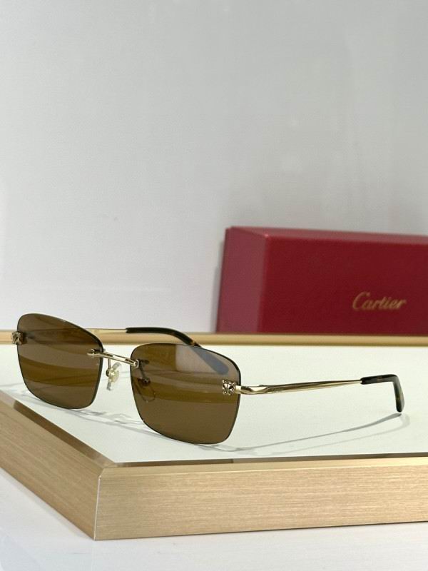 Cartier Glasses 08smh132 (5)