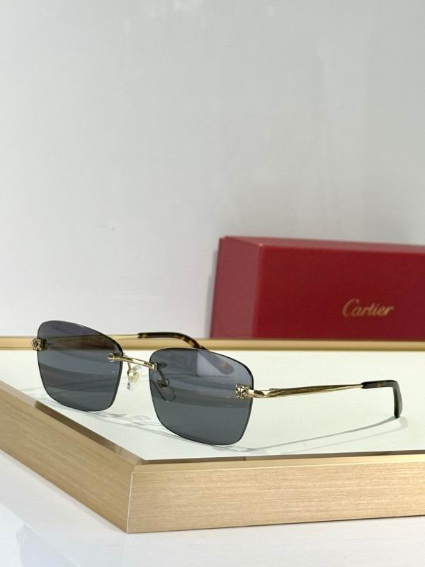 Cartier Glasses 08smh132 (6)