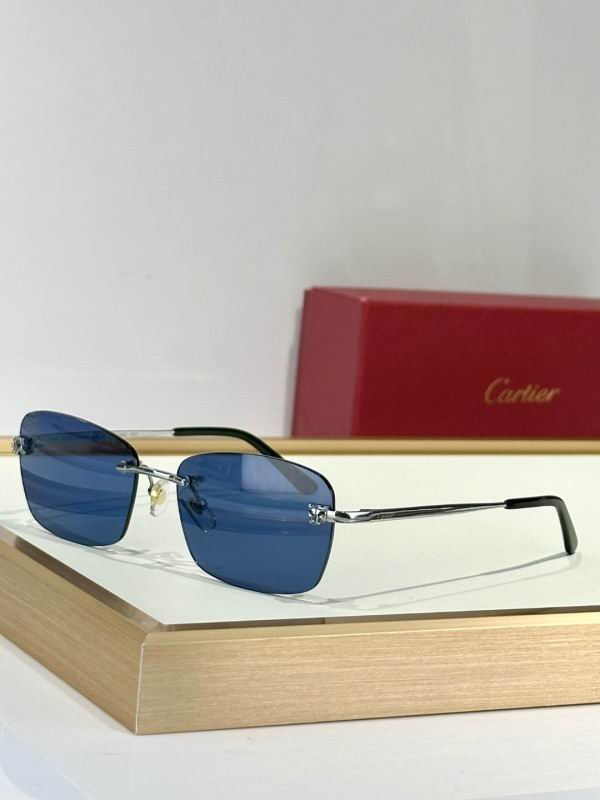 Cartier Glasses 08smh132 (7)