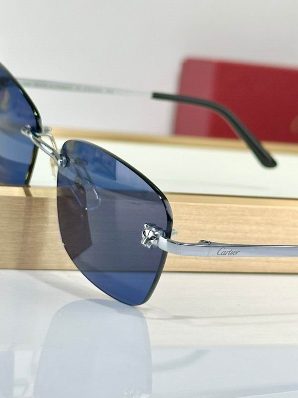 Cartier Glasses 08smh132 (8)