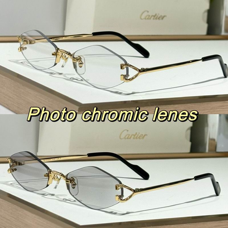 Cartier Glasses 08smh133 (8)