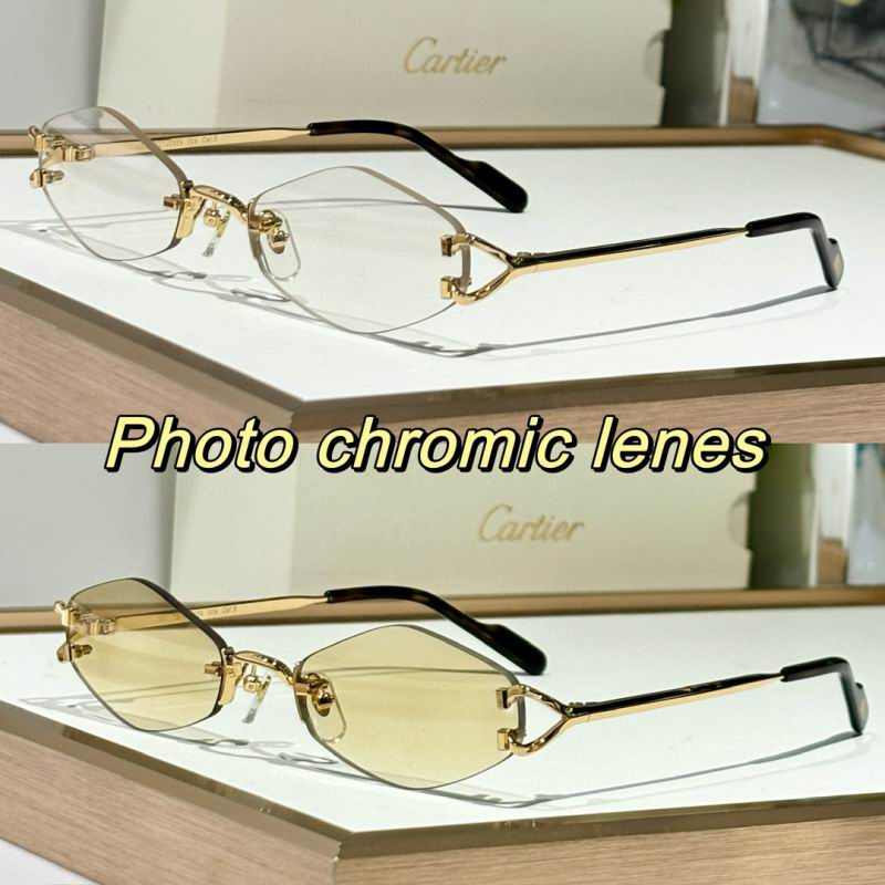 Cartier Glasses 08smh133 (9)
