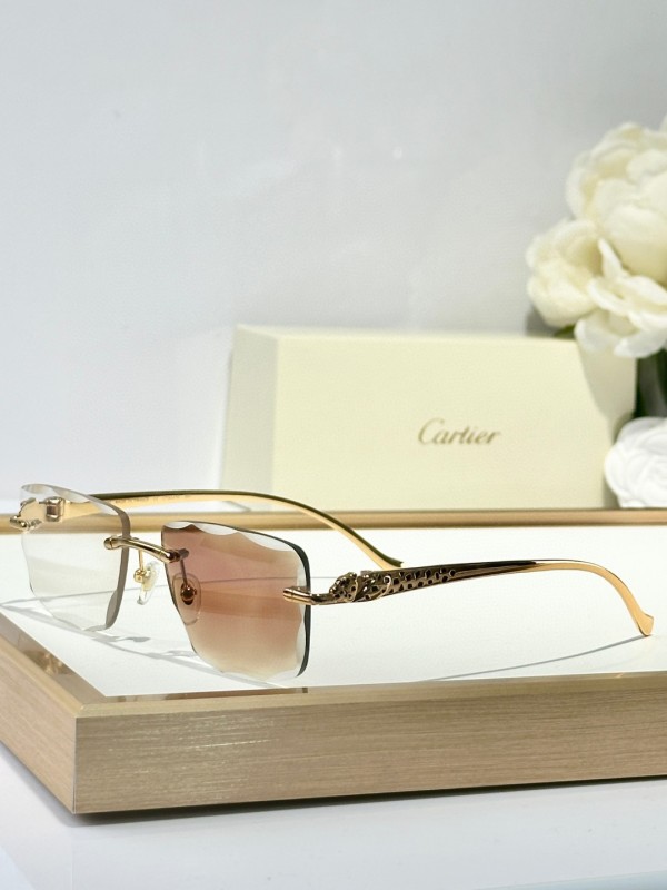 Cartier Glasses 08smh134 (2)
