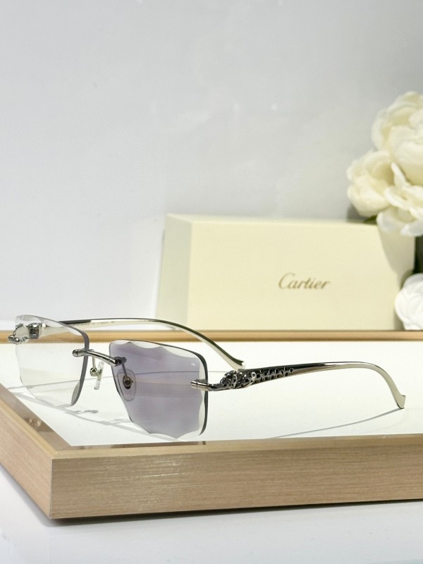 Cartier Glasses 08smh134 (4)