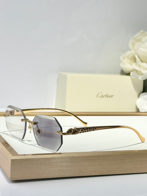 Cartier Glasses 08smh135 (2)