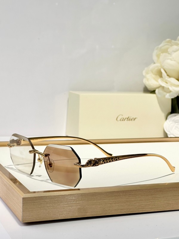 Cartier Glasses 08smh135 (4)